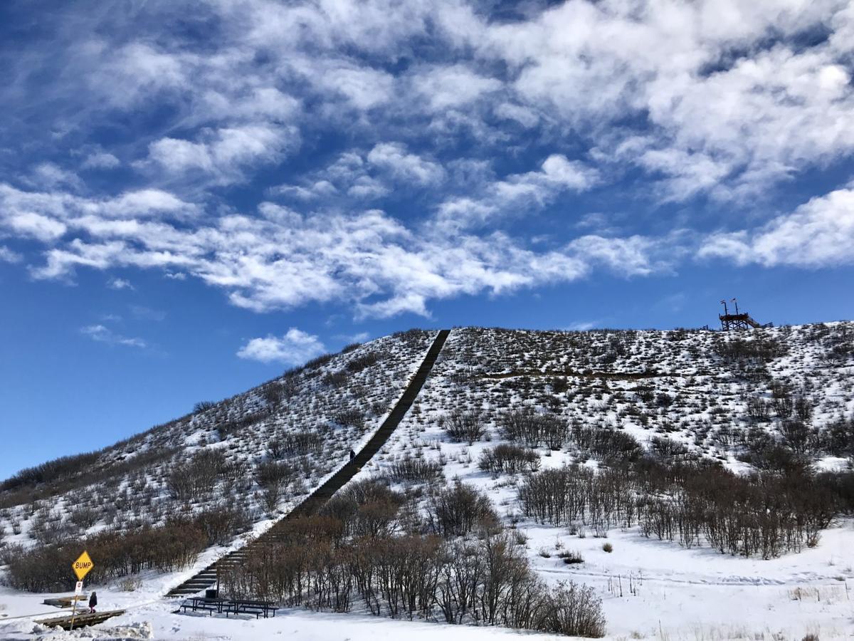 The Challenge Hill ascents 200 steps at Philip S. Miller Park in Castle Rock. Photo Credit: Seth Boster, The Gazette.