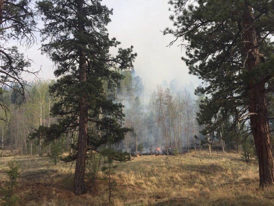 Fire restrictions and COVID-19 closures in place for Colorado national parks, grasslands