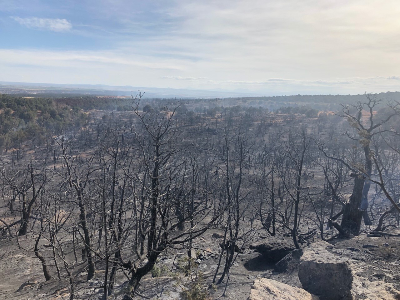 Multiple wildfires burn across Colorado to start hot, dry week