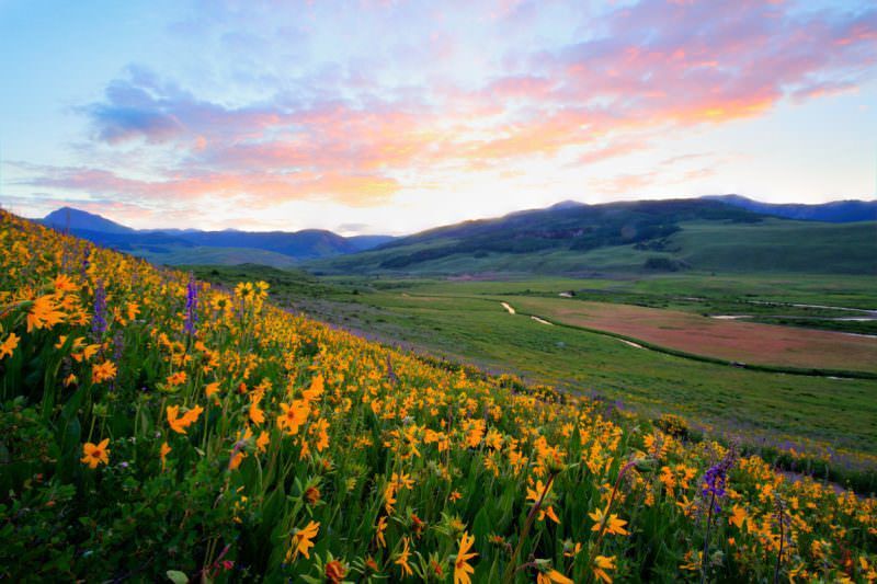 1. Crested ButteAs the wildflower capital of Colorado, there are many beautiful trails to explore. Top picks for spring blooms include Trail 401, Dyke Trail, Doctor Park, Lupine, and Teocalli Trail. If you're feeling extra adventurous, make the trek from Crested Butte to Aspen. The colorful meadows will not disappoint!Photo Credit: arinahabich (iStock).