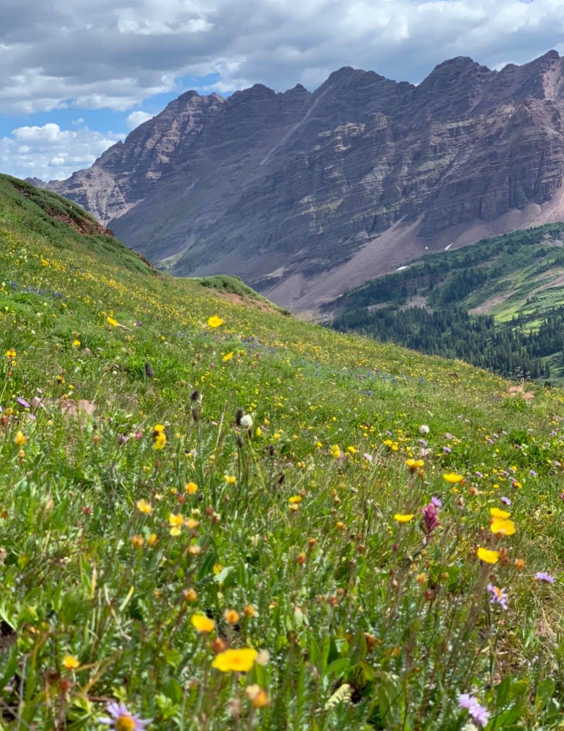Be sure to take a moment out of your hike to stop and enjoy the stunning wildflower-filled meadows. Photo Credit: Breanna Sneeringer, OutThere Colorado.
