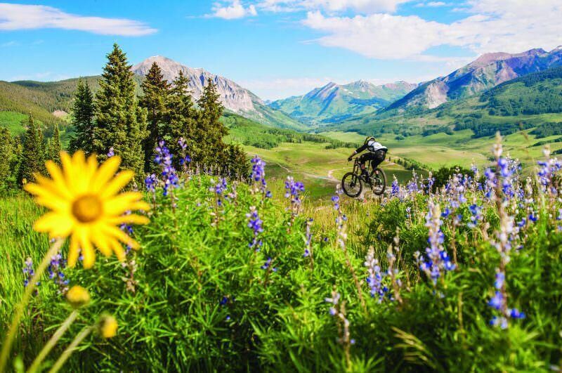 4. Trail 401 (Crested Butte)Venture off to Crested Butte for a wildly colorful adventure. Beyond fresh blooms, Trail 401 is one of the most popular mountain trails in the area. In total, the color-saturated trail is 15.4 miles long with an elevation gain of 3,185 feet. Photo Credit: Trent Bona.