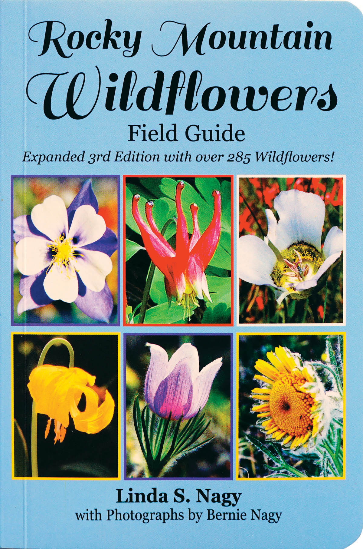 Order on the Nagy's website to get a signed copy and free shipping. (Picasa)