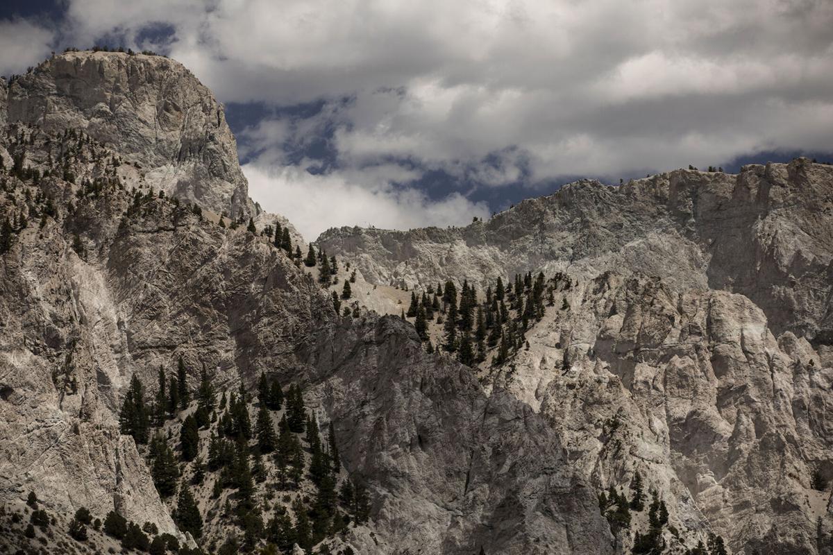 chalkcliffs 01.jpg