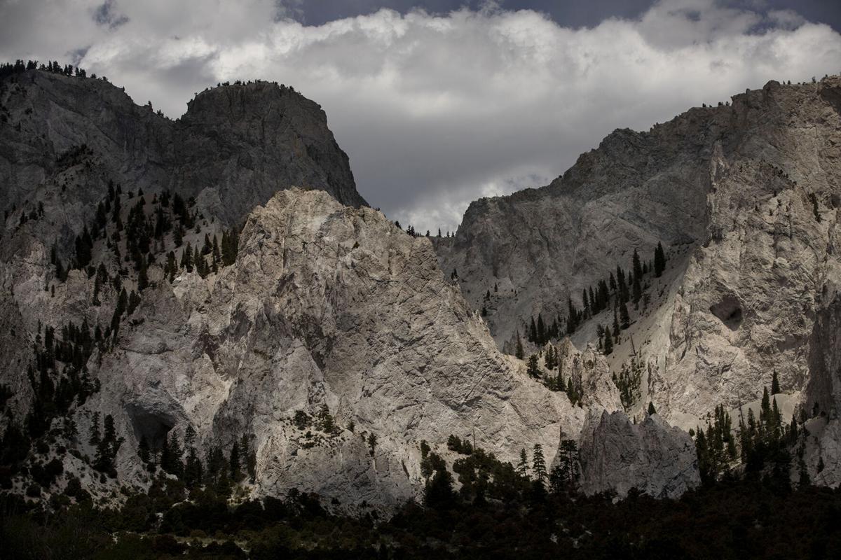 chalkcliffs 03.jpg