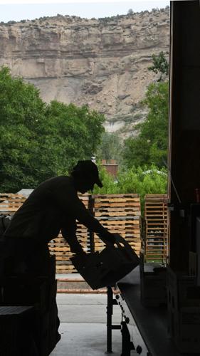 Palisade peaches
