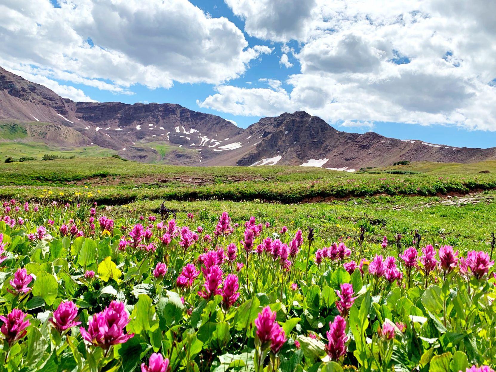 3. Four Pass Loop (Aspen)Vibrant blooms can be seen along the Four Pass Loop. Backdropped by the Elk Mountains, the 28-mile backpacking trip starts at the base of the Maroon Bells Scenic Area near the mountain town of Aspen. Photo Credit: Breanna Sneeringer, OutThere Colorado.