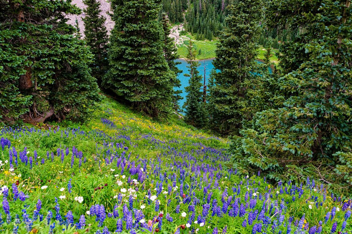 From the trailhead, it’s 3.3 miles to the lowest lake, the deepest of the three backcountry gems. Photo Credit: Adventure_Photo (iStock).
