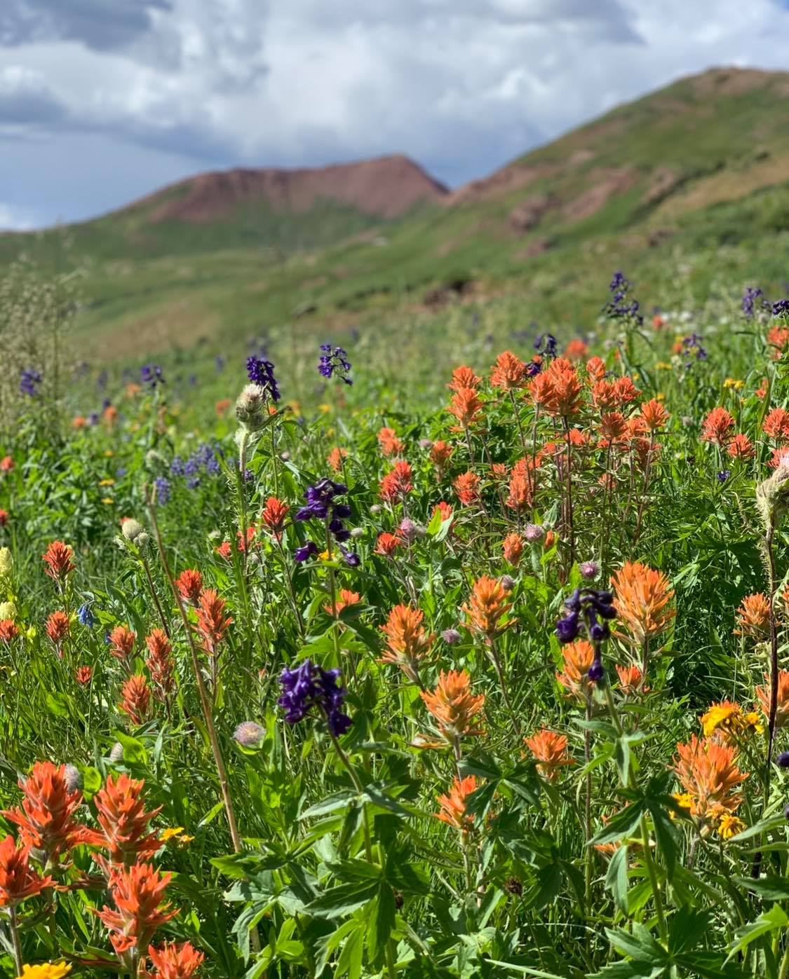 Photo Credit: Breanna Sneeringer, OutThere Colorado.