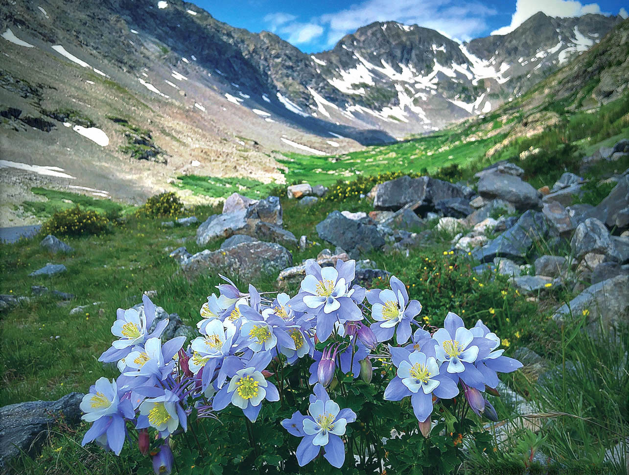 Identify wildflowers with the help of authors and photographers Linda and Bernie Nagy. Their field guide is available from Amazon and other outlets, but if you order from their website, you receive free shipping and a signed copy! Photo Courtesy: Bernie Nagy