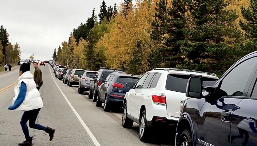 DMV officials warn of ‘significant delays’ in titling or registration activities due to COVID-19