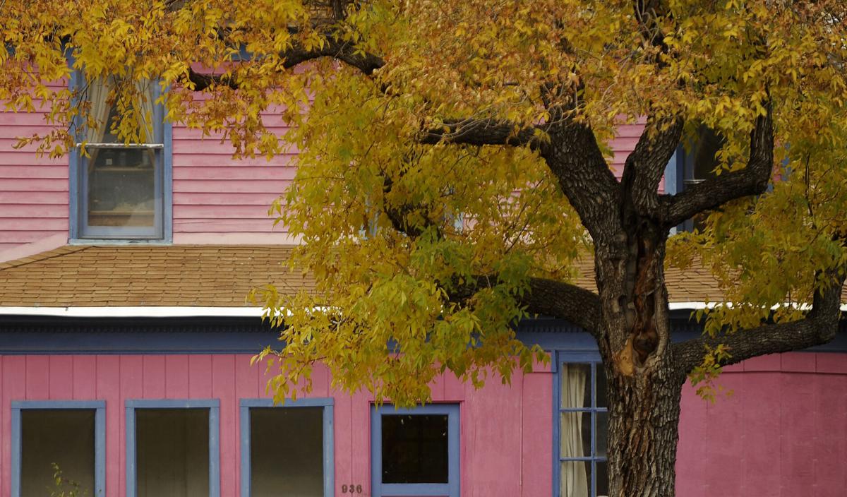 Colorado city ranks as top city in America to visit for fall colors, COVID-19 safety for tourists