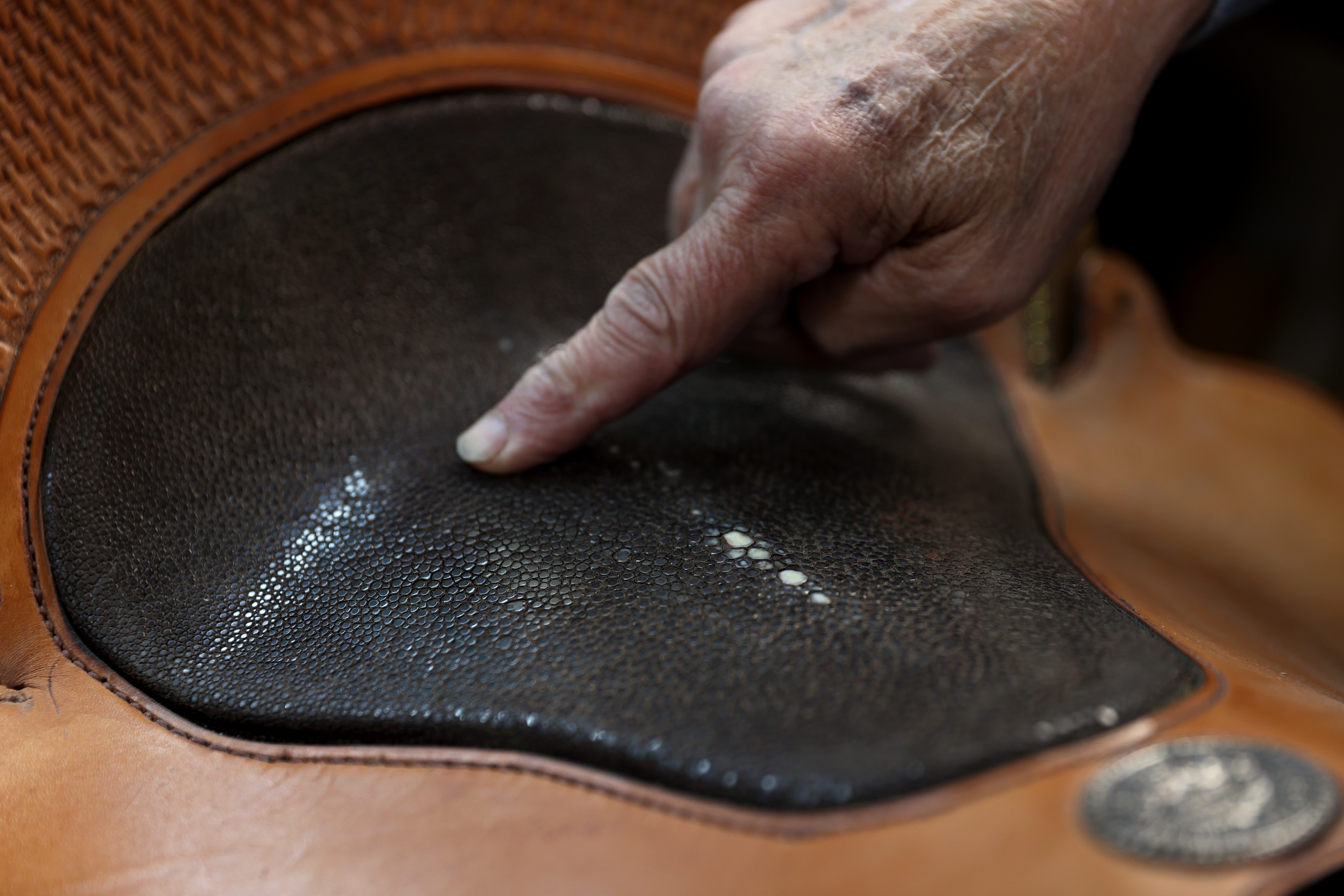 Bob Brenner shows off the seat inlay of a custom saddle at his saddle shop in Black Forest. The seat inlay on this saddle is made of stingray, which Brenner says is more durable than other types of inlays like suede or fabric. (Forrest Czarnecki)