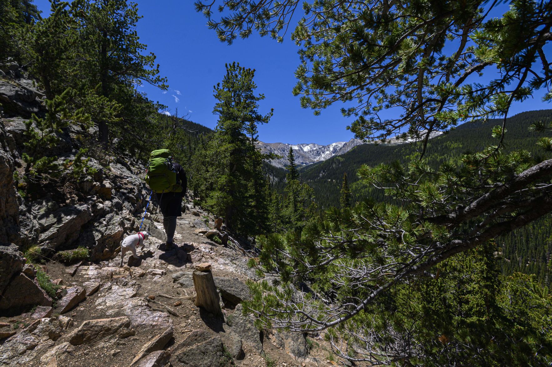 Denver Parks & Rec close all mountain parks in Clear Creek County