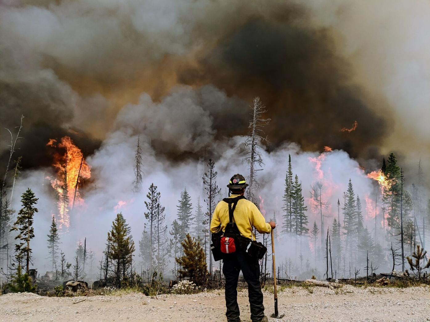 Colorado wildfires blaze through $130 million while mitigation efforts lag