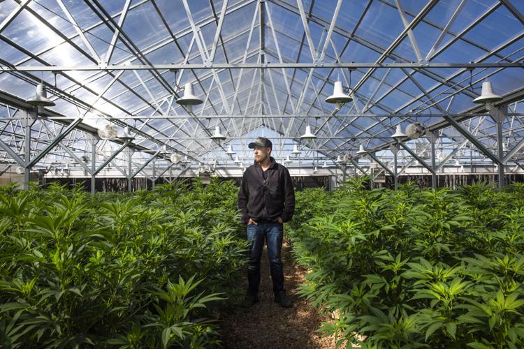 101120-biz-hemp-depot 01