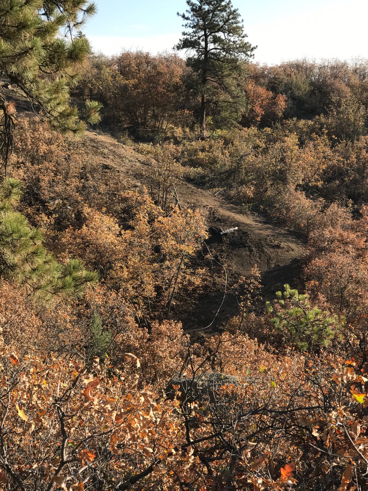 Lines around Incline fire near Manitou hold against strong winds; containment increased to 80%