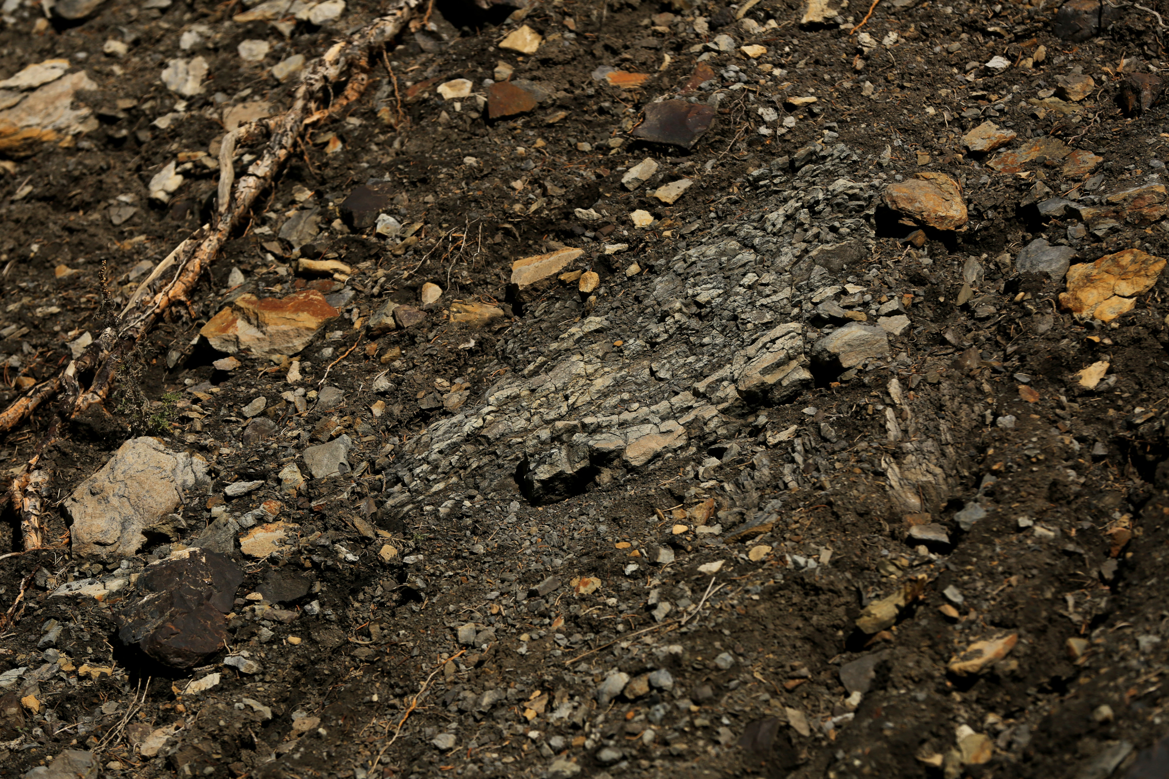 An exposed rock bed stands out on a hillside at Fishers Peak State Park near Trinidad, Colorado on Oct. 30, 2020. (Forrest Czarnecki/The Gazette) (Forrest Czarnecki)