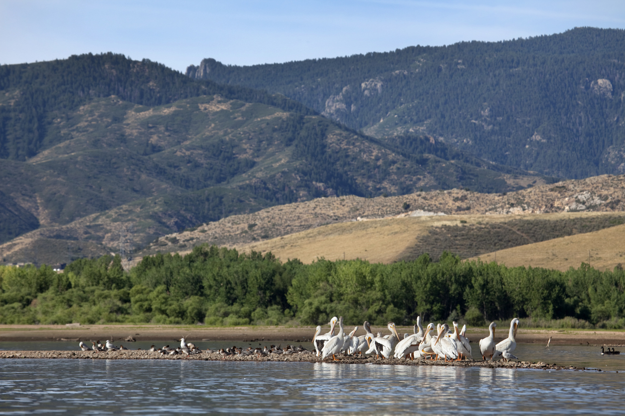 17. Littleton, ColoradoFound just south of Denver, Littleton has an extremely low violent crime rate of .9 per 100,000 residents thus far in 2020, according to SafeWise.com. This town is home to plenty of outdoor activities, including Chatfield State Park and Chatfield Reservoir (pictured).Photo Credit: milehightraveler (iStock). (milehightraveler)
