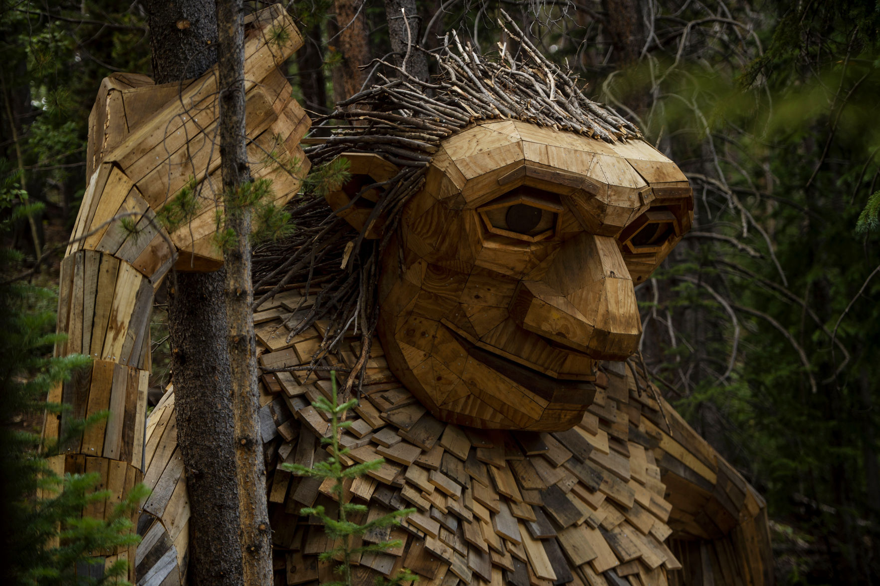 Chancey Bush/The GazetteIsak Heartstone, a 15-foot tall wooden troll sculpture by Danish artist Thomas Dambo, at its new home near Illinois Gulch trailhead in Breckenridge on Aug. 4, 2019. (Chancey Bush The Gazette)