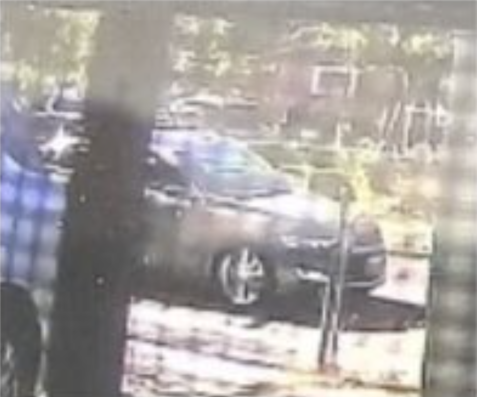 Police search for suspects who shot, killed pet cat in Villa Park neighborhood