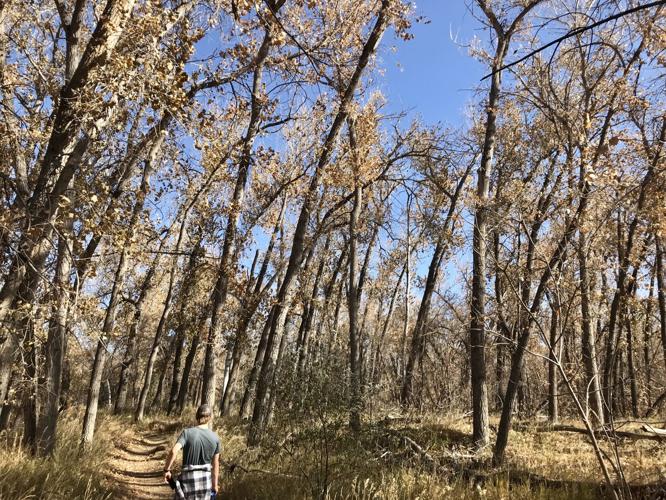 Lakewood opens applications for $160,000 in neighborhood improvement grants