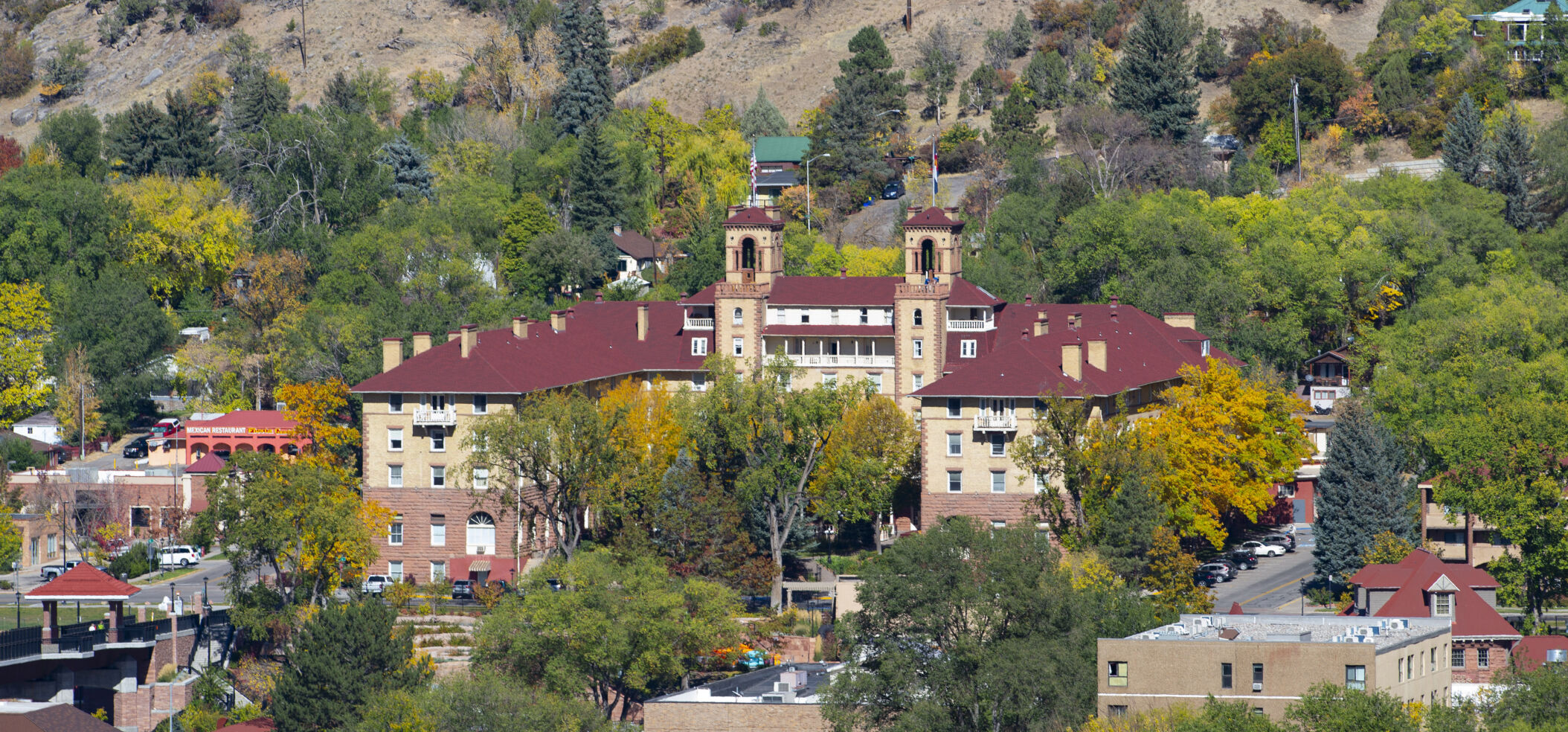 110820-life-teddy 6.jpg