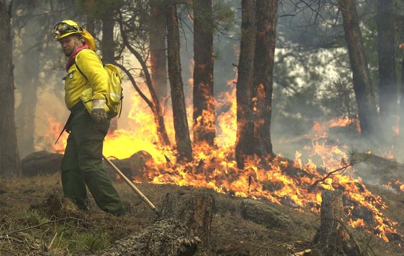 111520-news-fire hayman.jpg