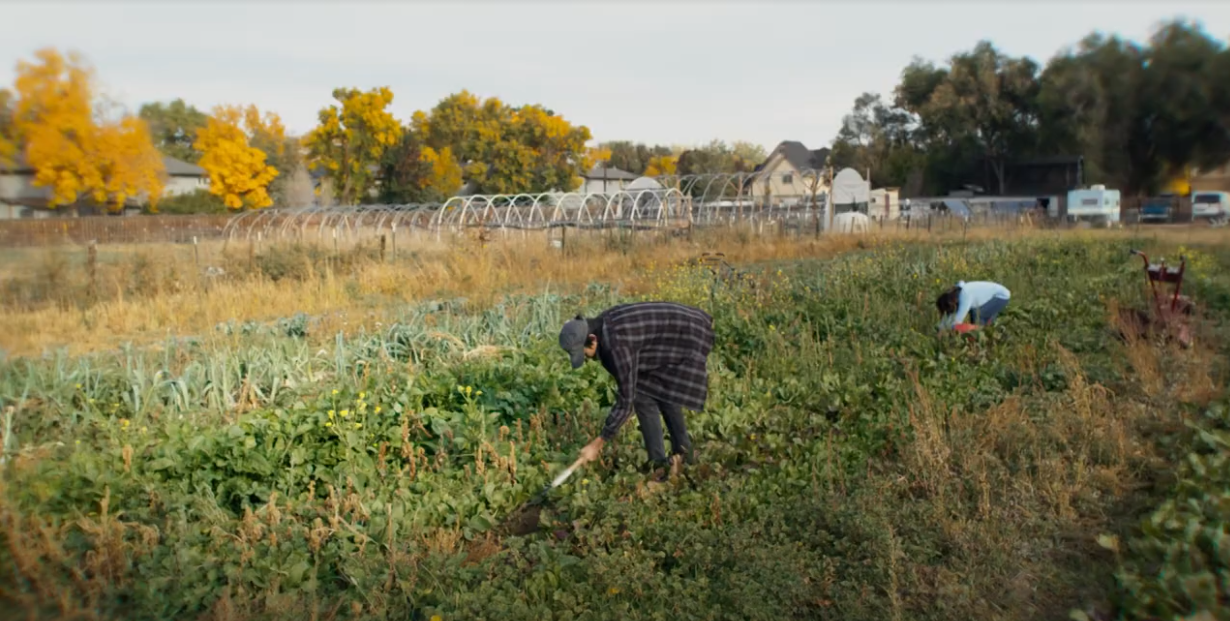 Colorado launches human trafficking awareness campaign