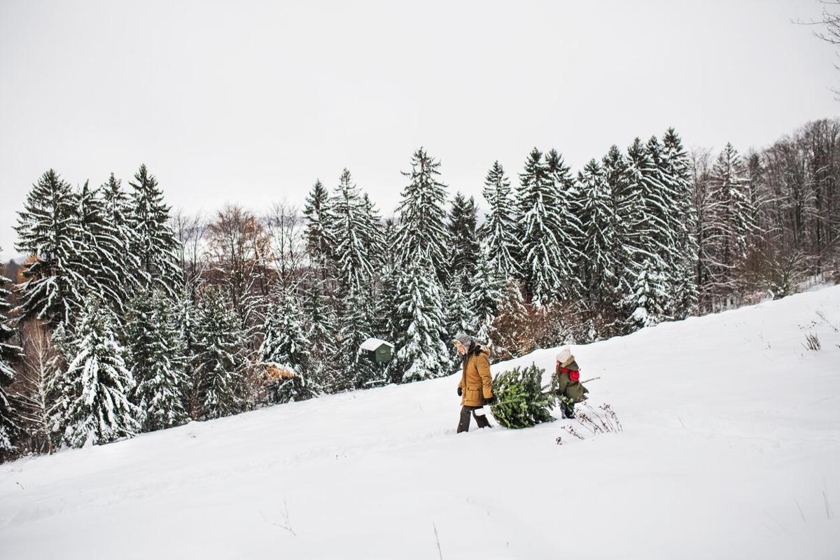 File photo of winter landscape. Photo Credit: Halfpoint (iStock).