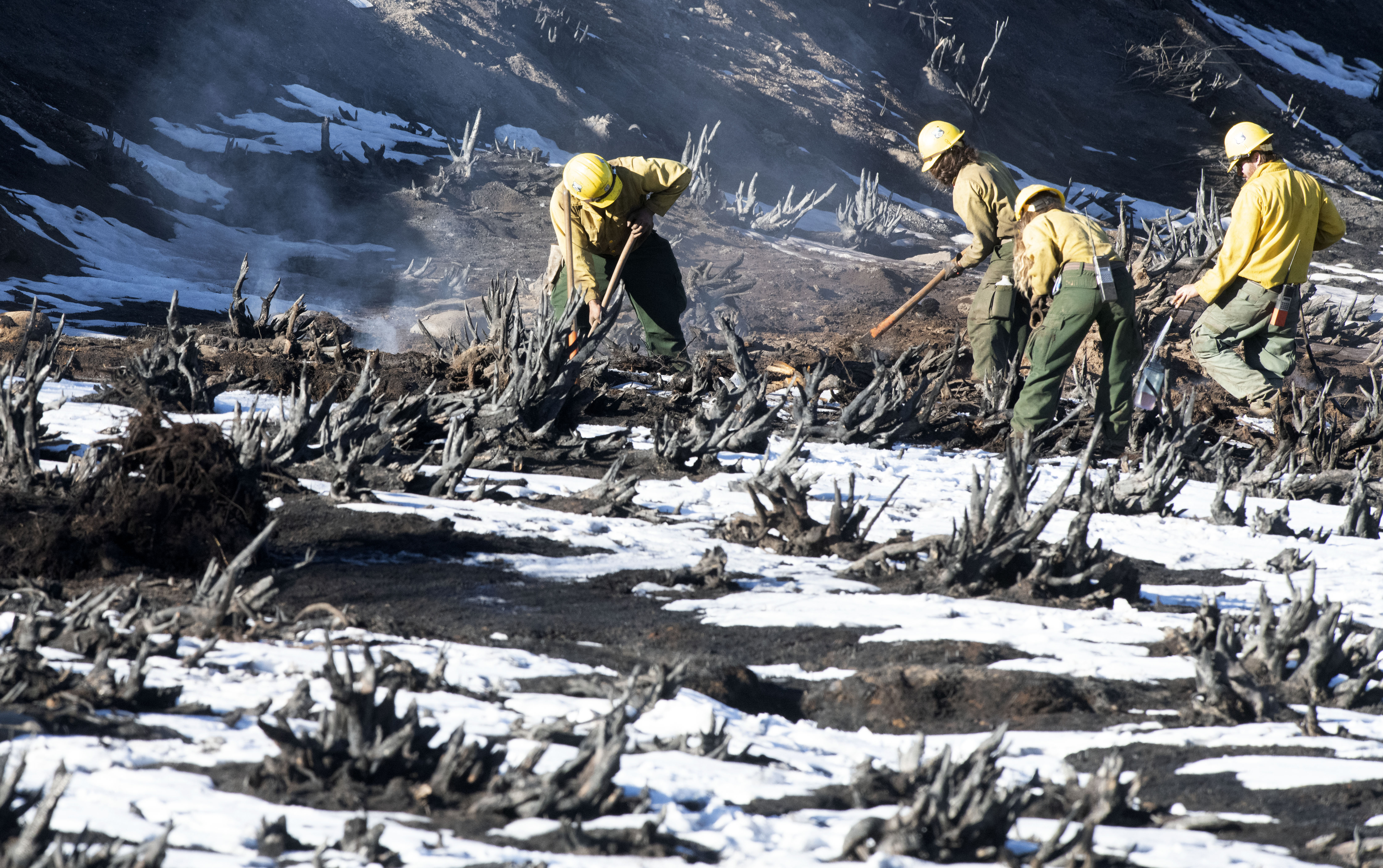Although the nearly 8 inches of snow that fell near Grand Lake, Colorado, was able to substantially slow down the East Troublesome Fire the fire can still smolder underneath the snow. Firefighters from Oregon knock down smoldering stumps near Grand Lake on Sunday, Nov. 1, 2020. (Photo by Jerilee Bennett, The Gazette) (JERILEE BENNETT, THE GAZETTE)