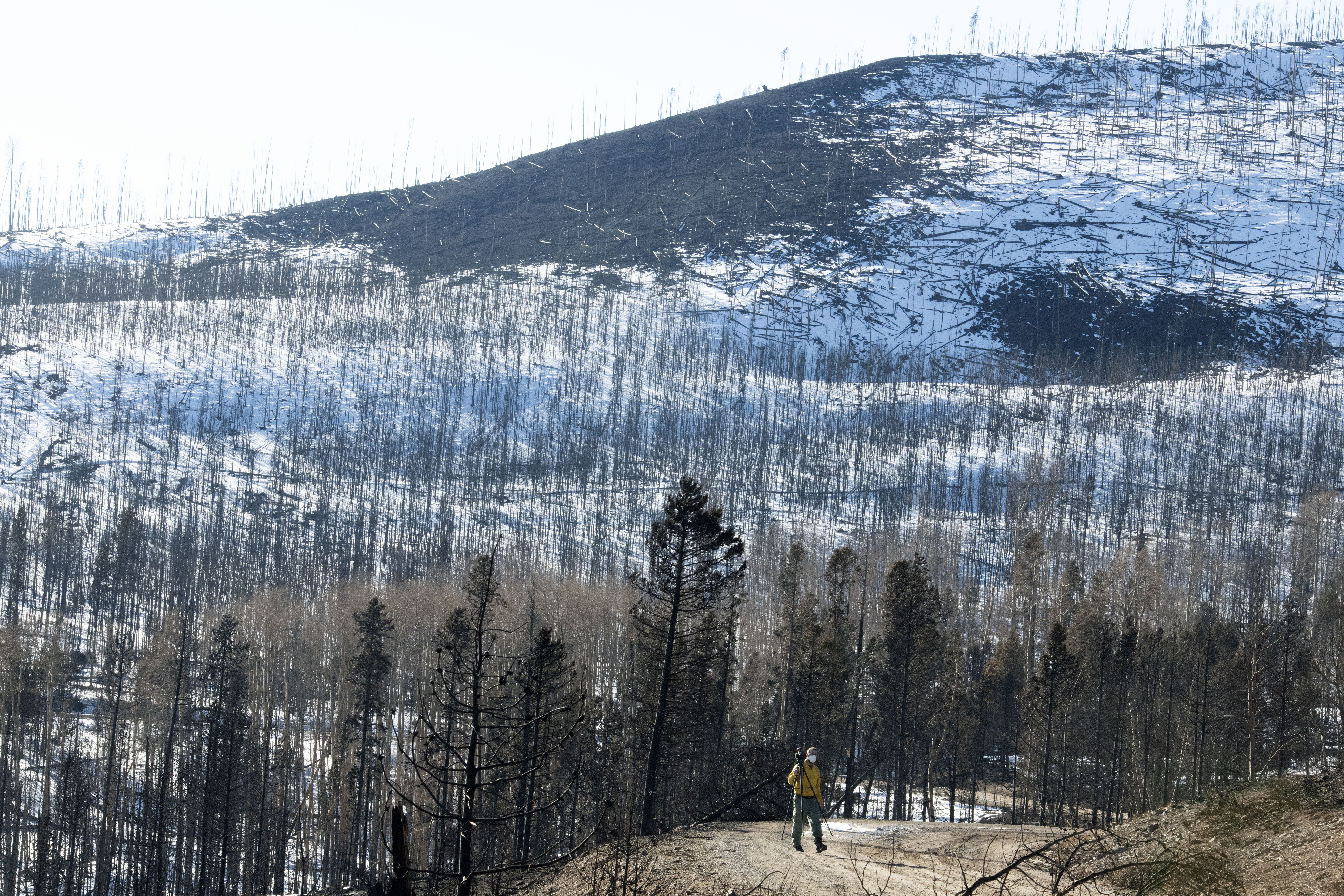 On a hillside above Grand Lake, Colorado, the entire hillside was burned in the East Troublesome Fire. Sunday, Nov. 1, 2020. (Photo by Jerilee Bennett, The Gazette) (JERILEE BENNETT, THE GAZETTE)
