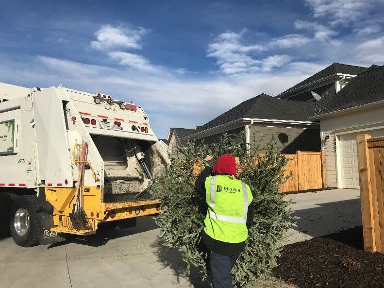 christmas tree recycling program (Denver Department of Infrastructure and Transportation)