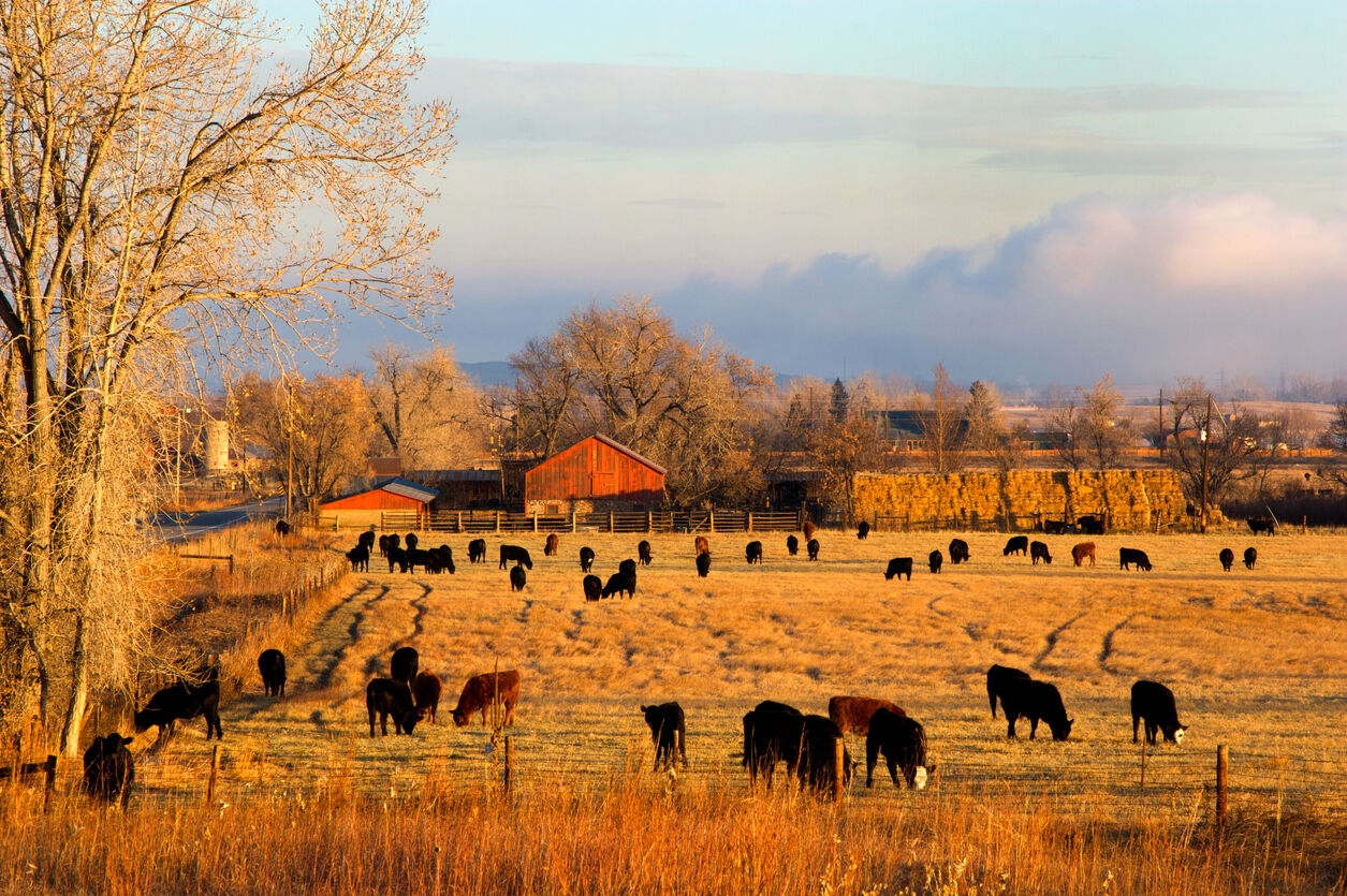 Boulder County opens applications for food and agriculture project fund