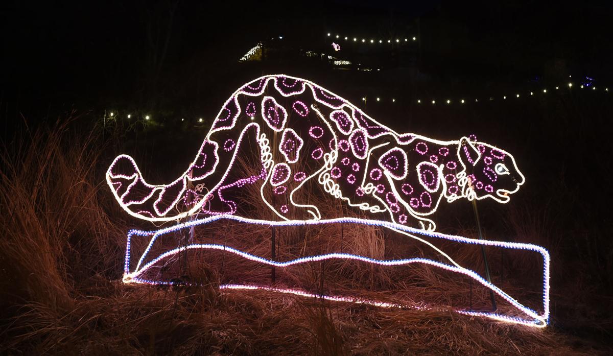 Six things to do in and around Colorado Springs this weekend: Zoo Electric Safari, Festival of Lights and more