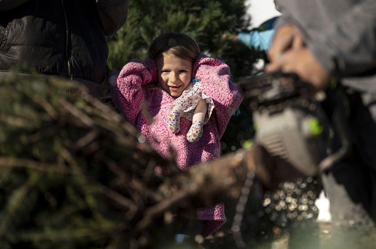 Early Christmas tree sales in Colorado Springs boost people looking for a little cheer