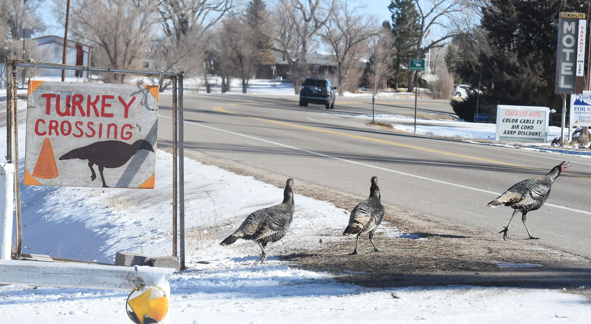 Simla is a very small, quiet rural town that is about an hour east of Colorado Springs on Hwy. 24. The turkeys in the town have a special crossing that goes across the highway. The nursing home at the Good Samaritan Society in Simla in Elbert County is where the National Guardsman that caught the more contagious strain of the COVID virus was working. It is still unclear as to if this was where he caught it. Wednesday, Dec. 30, 2020. (Photo by Jerilee Bennett, The Gazette) (JERILEE BENNETT)