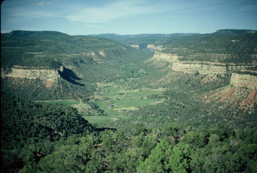 7. Dry Mesa Dinosaur Quarry Paleontological SiteAbout aa 1-hour, 45-minute drive southwest from Fruita, stop by Dry Mesa Quarry. This paleontological area is a 55-acre site located within the Jurassic Morrison formation and contains fossils with a geologic age of approximately 150 million years. The quarry is located 26 miles southwest of Delta on the Uncompahgre Plateau.Photo Credit: Dean R Richmond, (Wikipedia Creative Commons).