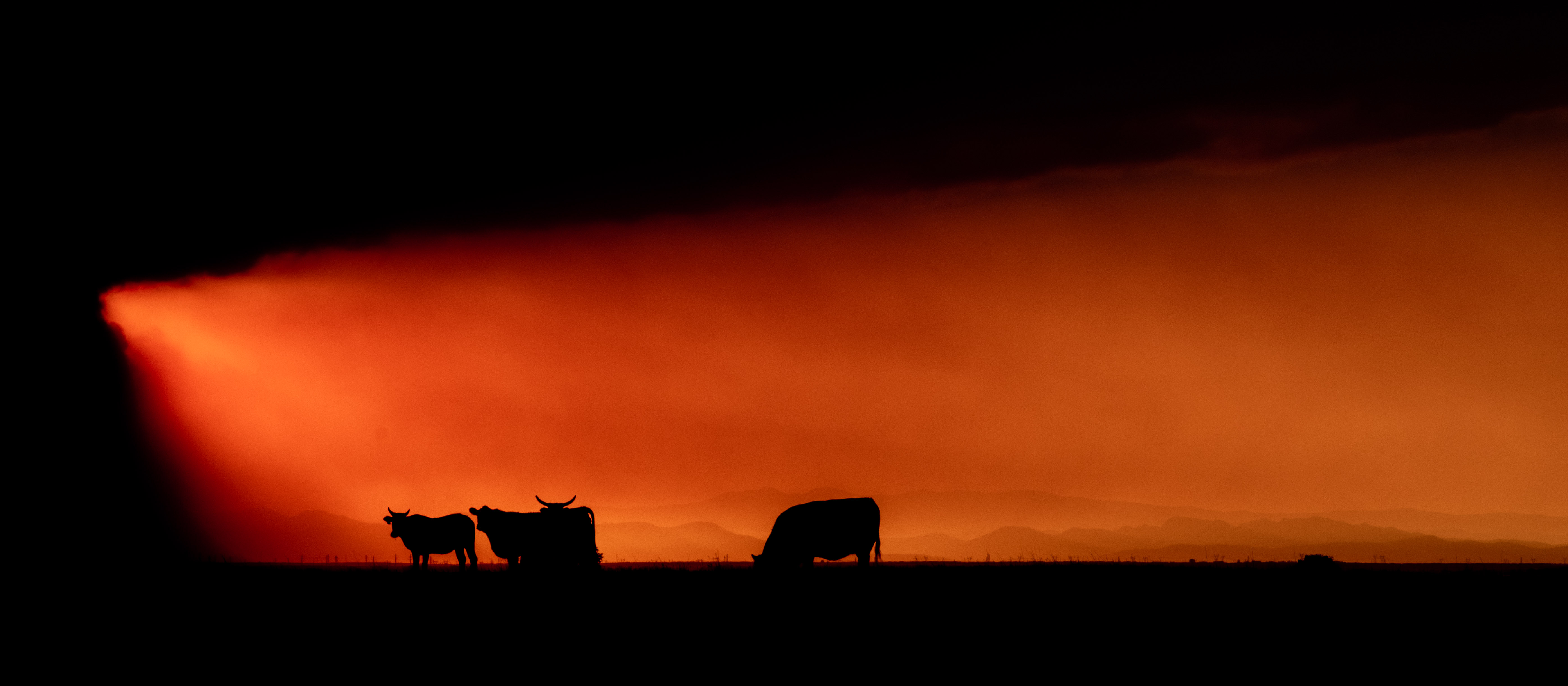 Winners selected in Colorado’s annual agriculture photo contest