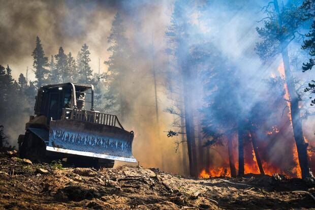 Cameron Peak Fire resulted in a market loss of more than $6 million