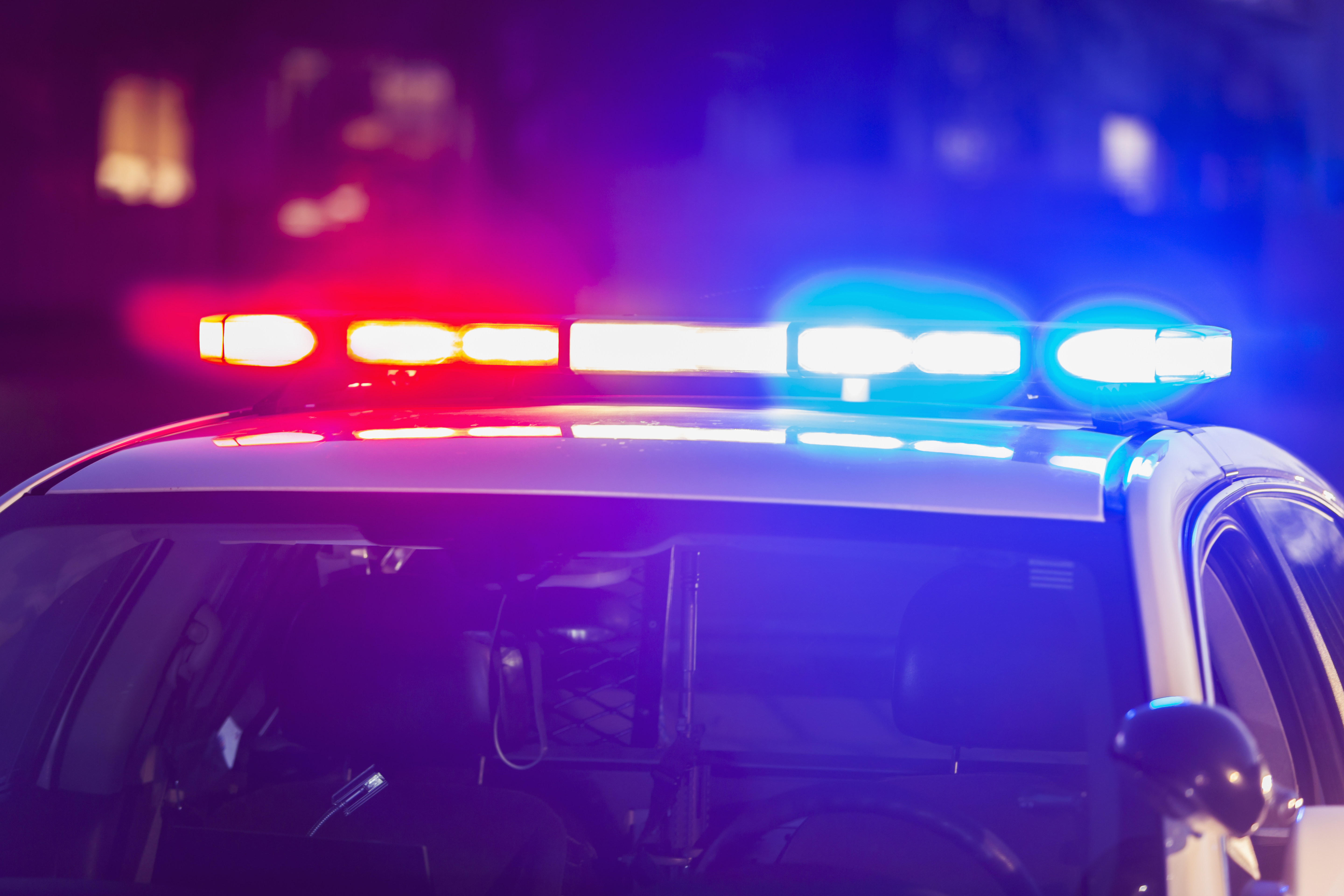 The roof of a police patrol car at night, with the blue and red lights flashing. (kali9)