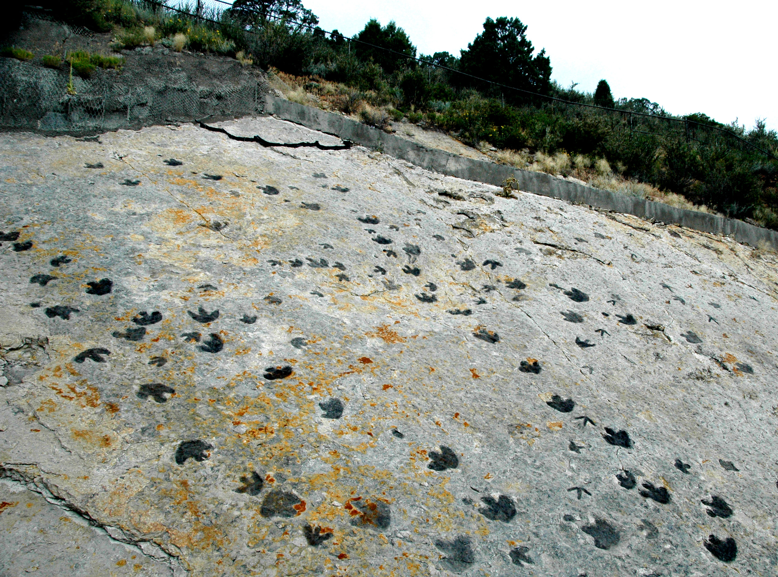 2. Dinosaur Ridge (Morrison)About a half-hour drive from Denver, visit Morrison to see some of the first-discovered dinosaur fossils, such as those of the Stegosaurus. These fossils were discovered at Dinosaur Ridge, which offers more than a dozen interpretive sites along the 1.5-mile Dinosaur Ridge Trail and six interpretive sites along Triceratops Trail.Photo Credit: James St. John (Flickr).