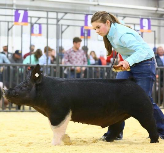 National Western Stock Show rides back in 2022