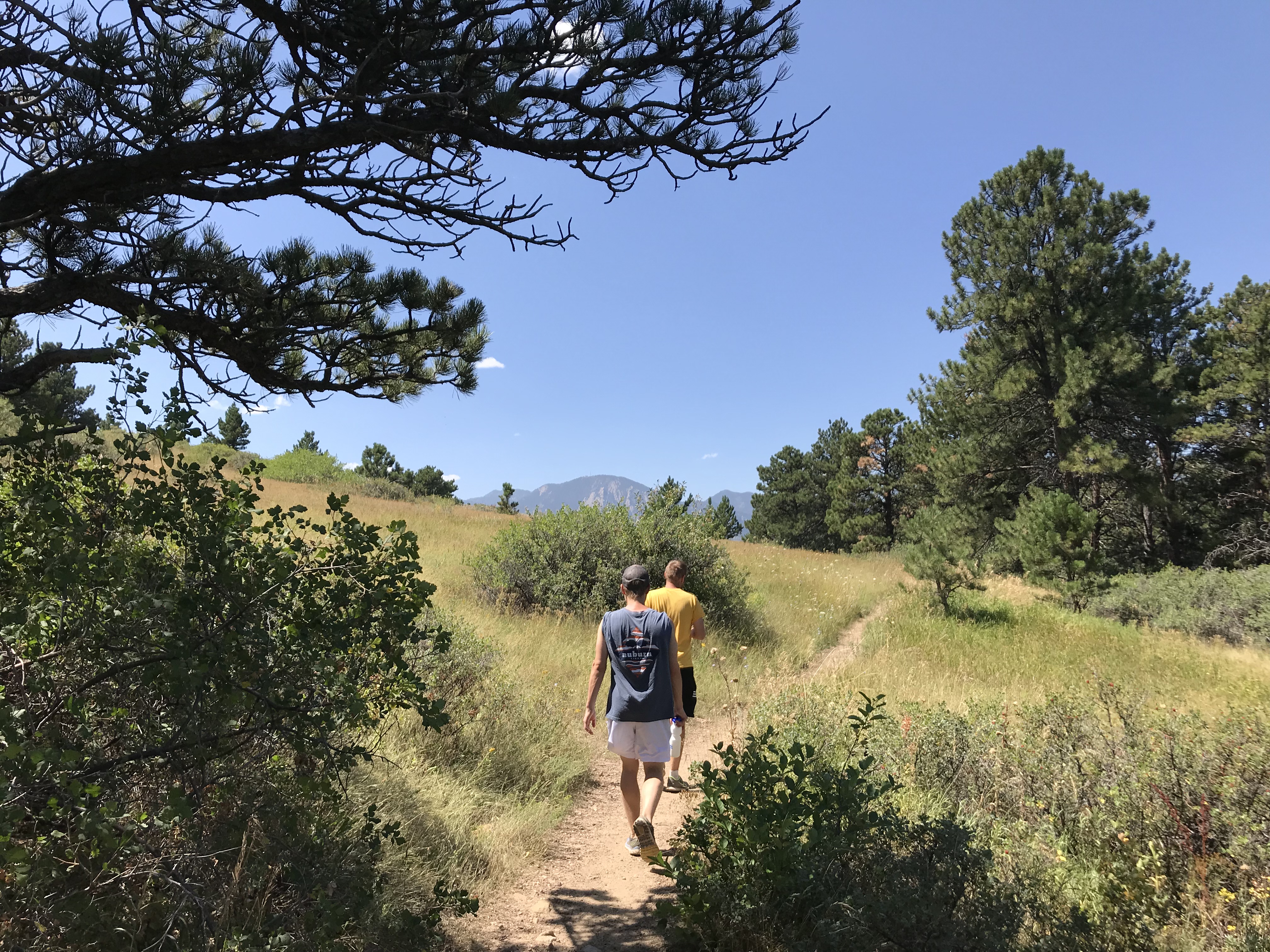 Injured hiker rescued from trail in Boulder County