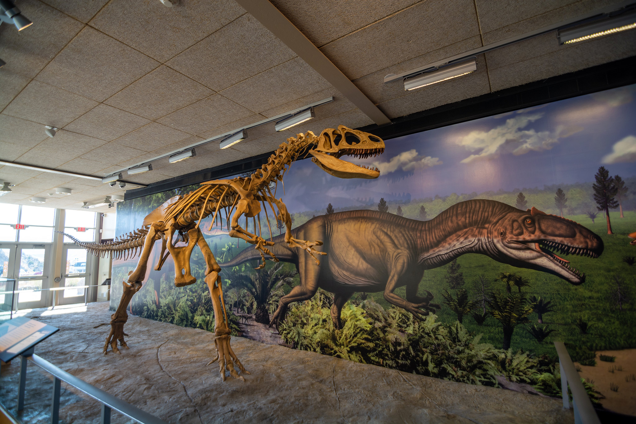 4. Dinosaur National Monument (CO/UT)In the northwest corner of the state, explorers can find Dinosaur National Monument. This prehistoric site boasts an amazing collection of fossils along the Colorado-Utah border. More than 1,500 fossils embedded into rocks can be viewed, as well as an 80-foot long mural that visually tells the story of the late Jurassic period.Photo Credit: RuggyBearLA Photography (Flickr).