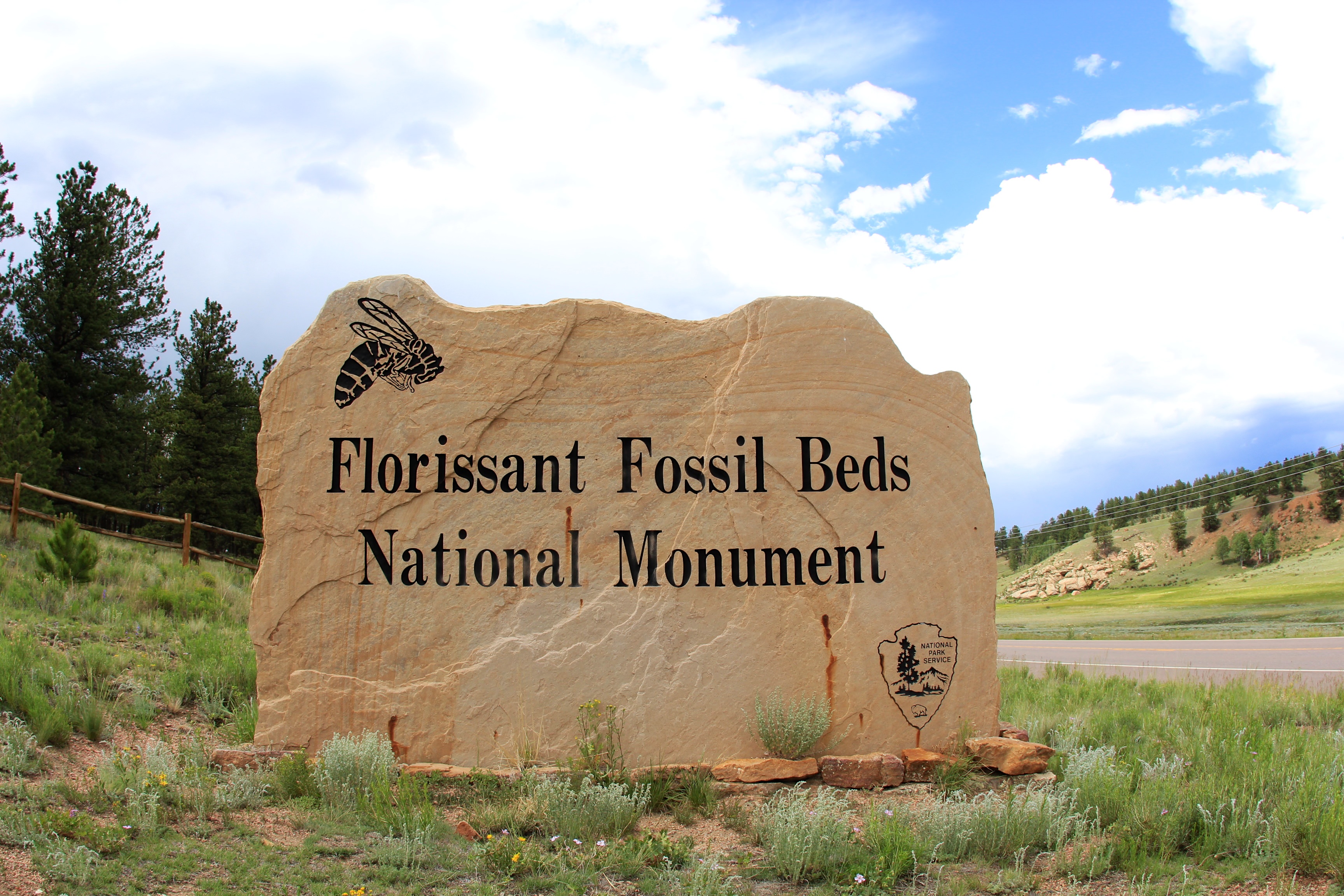 10. Florissant Fossil Beds National Monument (Florissant)The Pikes Peak region is home to one of the richest and most diverse fossil deposits in the world, found at the Florissant Fossil Beds National Monument. Features here include petrified Redwood stumps that reach 14-feet-wide and thousands of insect and plant fossils that provide a glimpse into what prehistoric Colorado looked like.Photo credit: daveynin (flickr).