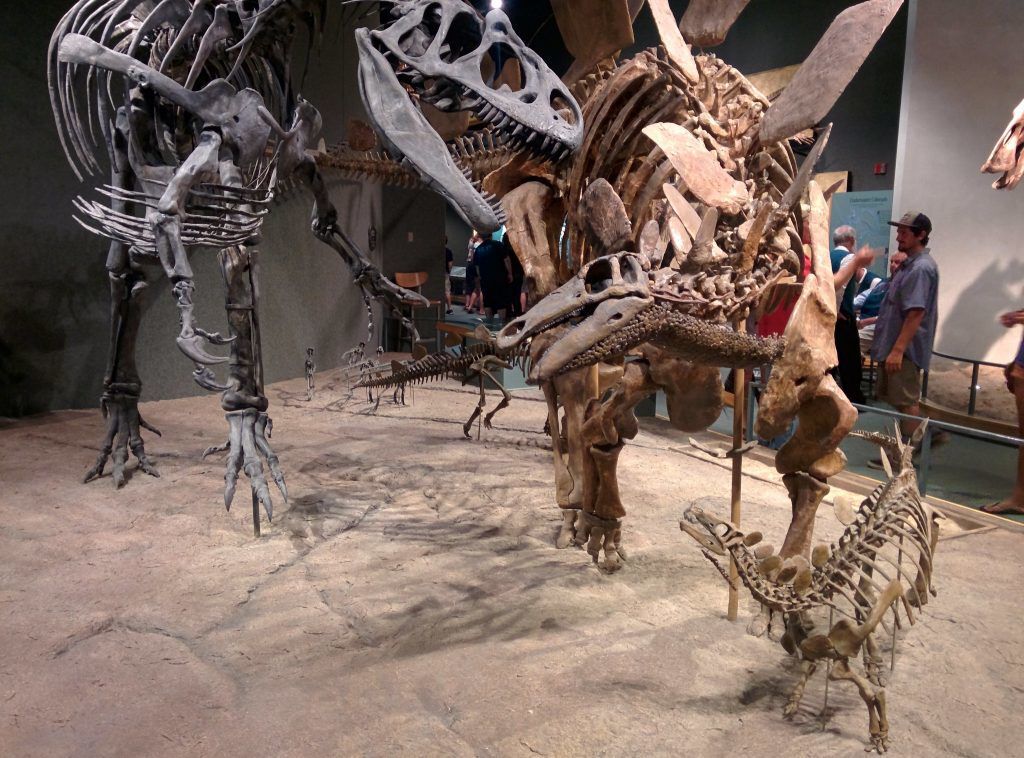 1. Denver Museum of Nature and Science (Denver)To begin this prehistoric road trip through Colorado, start with the Denver Museum of Nature and Science to see a wide variety of the Front Range dino-discoveries. A number of remains have been discovered along this Colorado mountain range, including those of the Tyrannosaurus rex, the first Triceratops discovery, Ornithomimus, Torosaurus, and more. Get an up-close look and a taste of Colorado’s dino culture by stopping at this museum first.Photo Credit: sporst (Flickr).