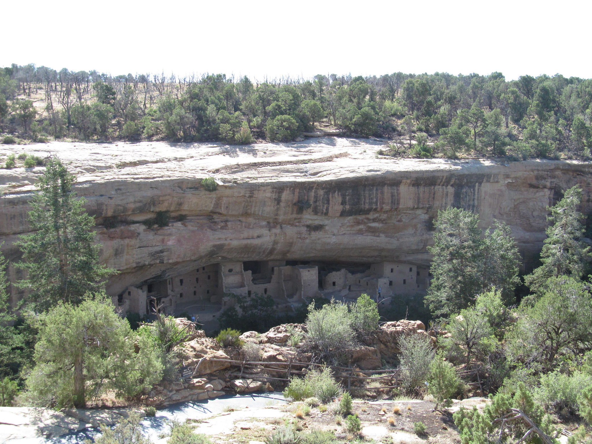 5. Cliff Dwellings of Mesa Verde National Park Spruce Tree House is the 3rd-largest cliff dwelling at the park. It features 130 rooms and eight kivas. This dwelling was built into an alcove that measures 216-feet-wide and 89-feet-deep. In the alcove, there’s a natural sandstone arch above the structures in which significant rockfall risks were discovered in 2015. The Spruce Tree House has been closed since, but visitors can view it from near the Chapin Mesa Archeological Museum year-round.Photo Credit: Doug Kerr (flickr).