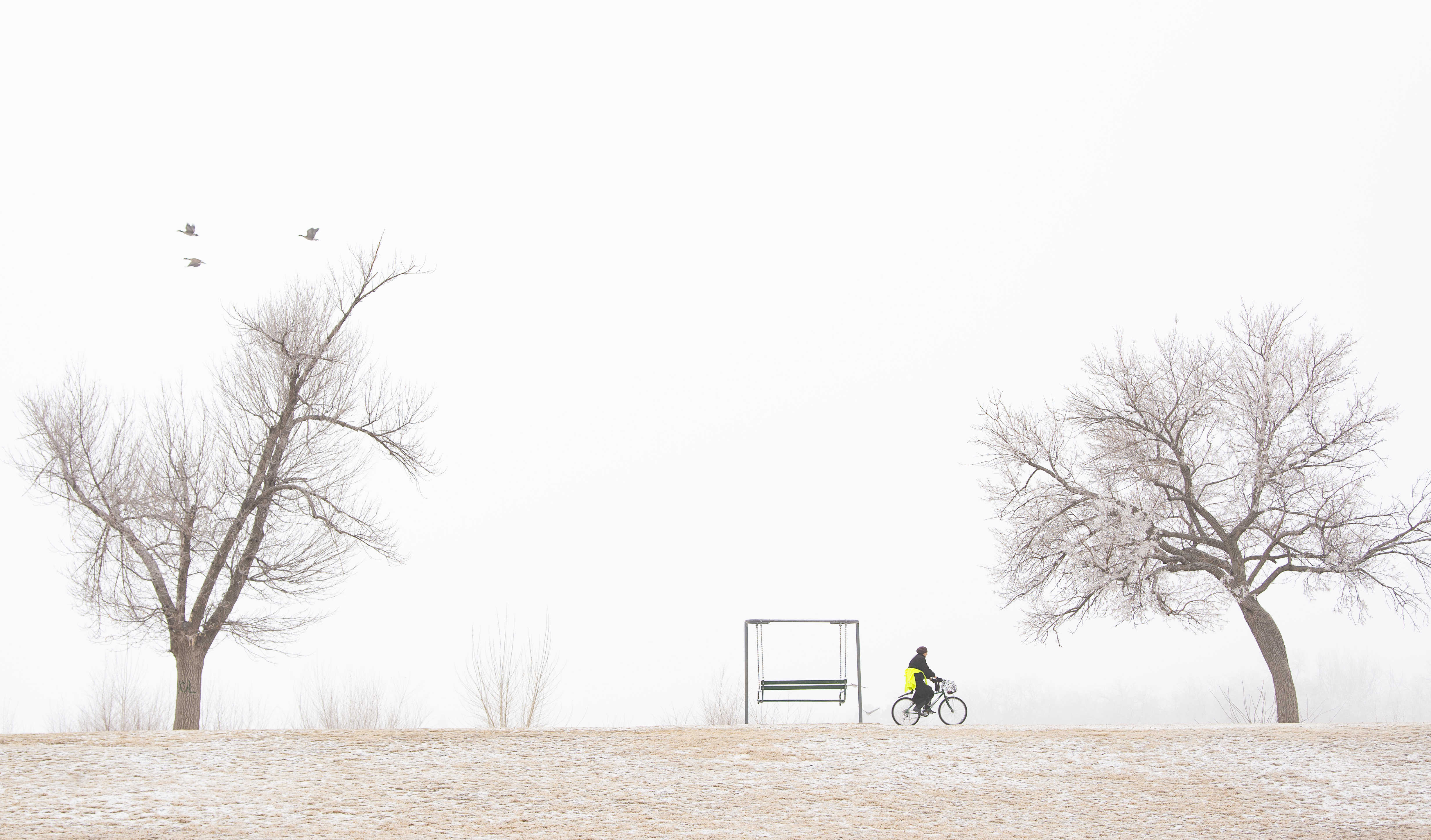 A cyclist rides through Memorial Park in Colorado Springs Wednesday, Feb. 10, 2021, as a flock of Canada geese fly over on a cold, foggy day. A light snow was falling on the park as temperatures were the teens in the morning. (The Gazette, Christian Murdock) (Christian Murdock/The Gazette)