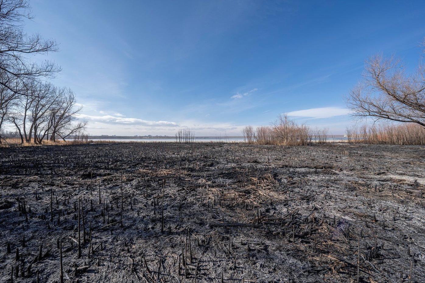 Investigators say Cherry Creek State Park fire was human caused